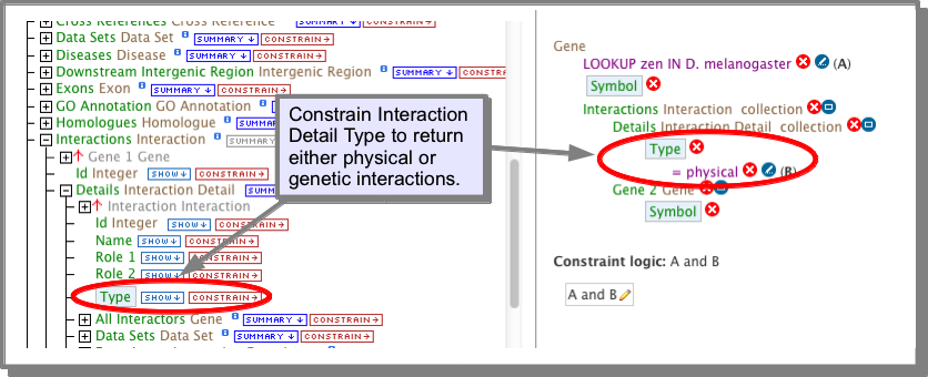 ../../_images/interactiontype1.png