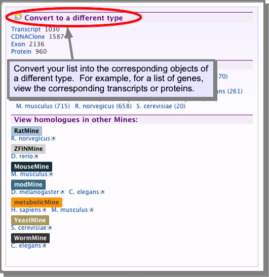 ../../_images/listconvert1.png