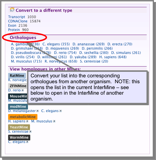 ../../_images/listconvert2.png