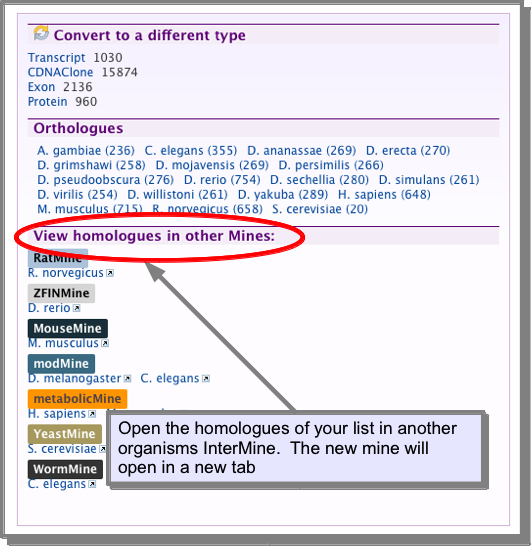 ../../_images/listconvert3.png