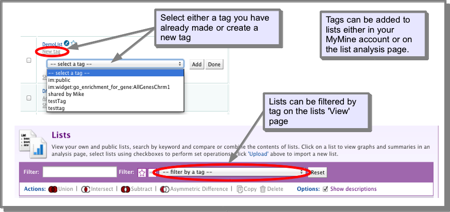 ../../_images/listsaddfiltertags.png