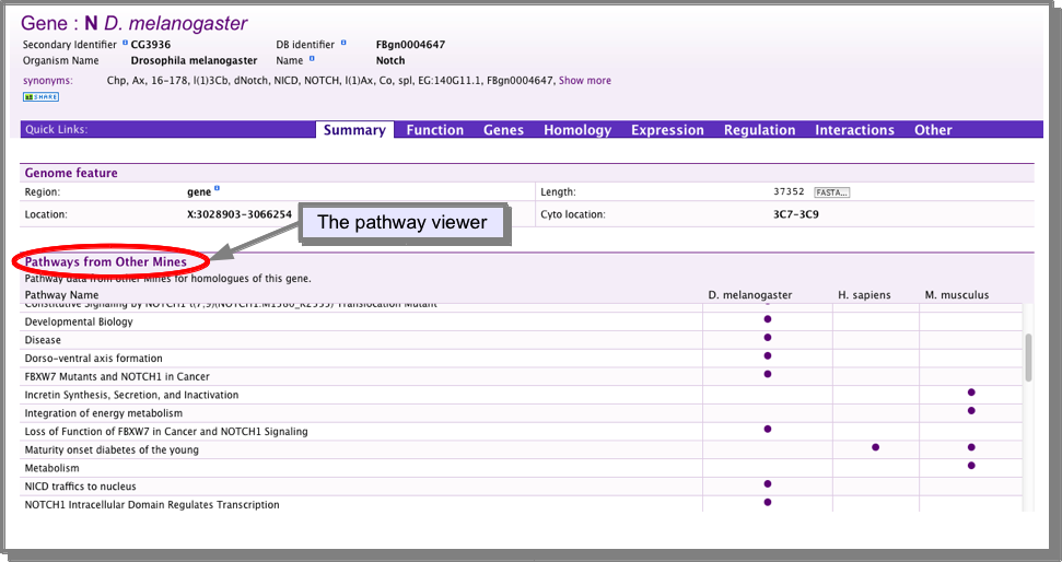 ../../_images/pathwayviewer1.png